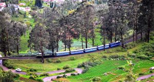 ST Tours and Travels Chennai to Ooty